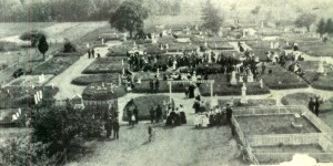 Wildwood_old